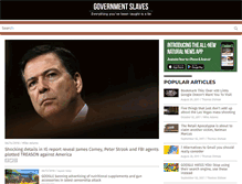 Tablet Screenshot of govtslaves.com